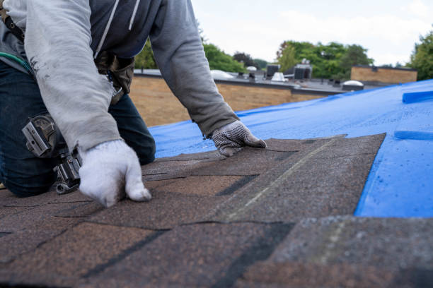 Roof Insulation in Pinehurst, ID